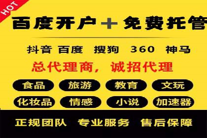 竞价广告在XX行业的成功应用案例